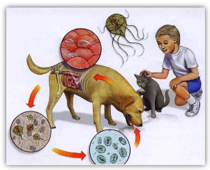 príznaky parazitov u detí
