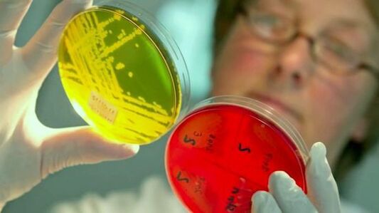 Vyšetrovanie testov na detekciu parazitov v ľudskom tele